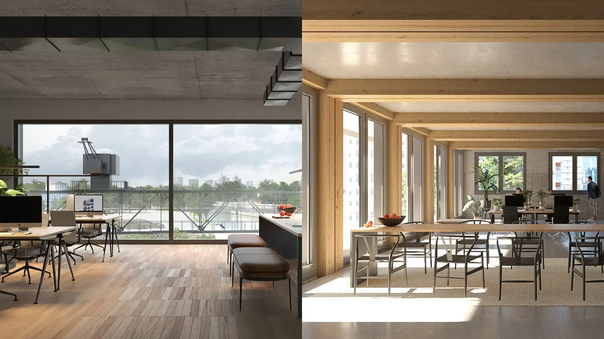 Ein Bild des Rockywoods