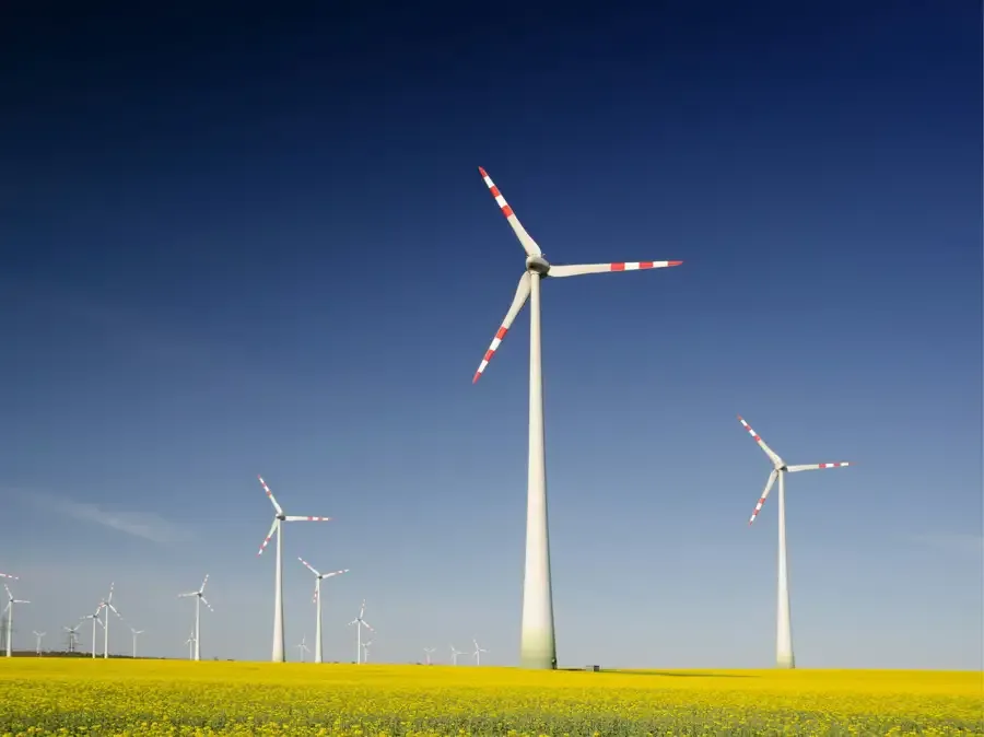 Nachhaltigkeit und ESG- Ziele